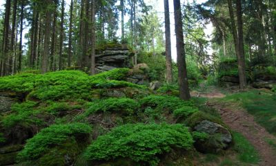 Novohradské hory